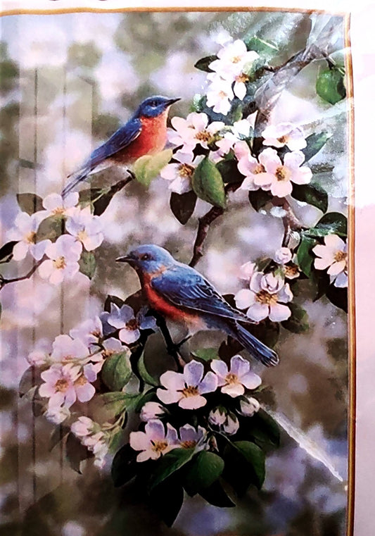 Madárkák Keresztszemes készlet leszámolható és előnyomott egyben