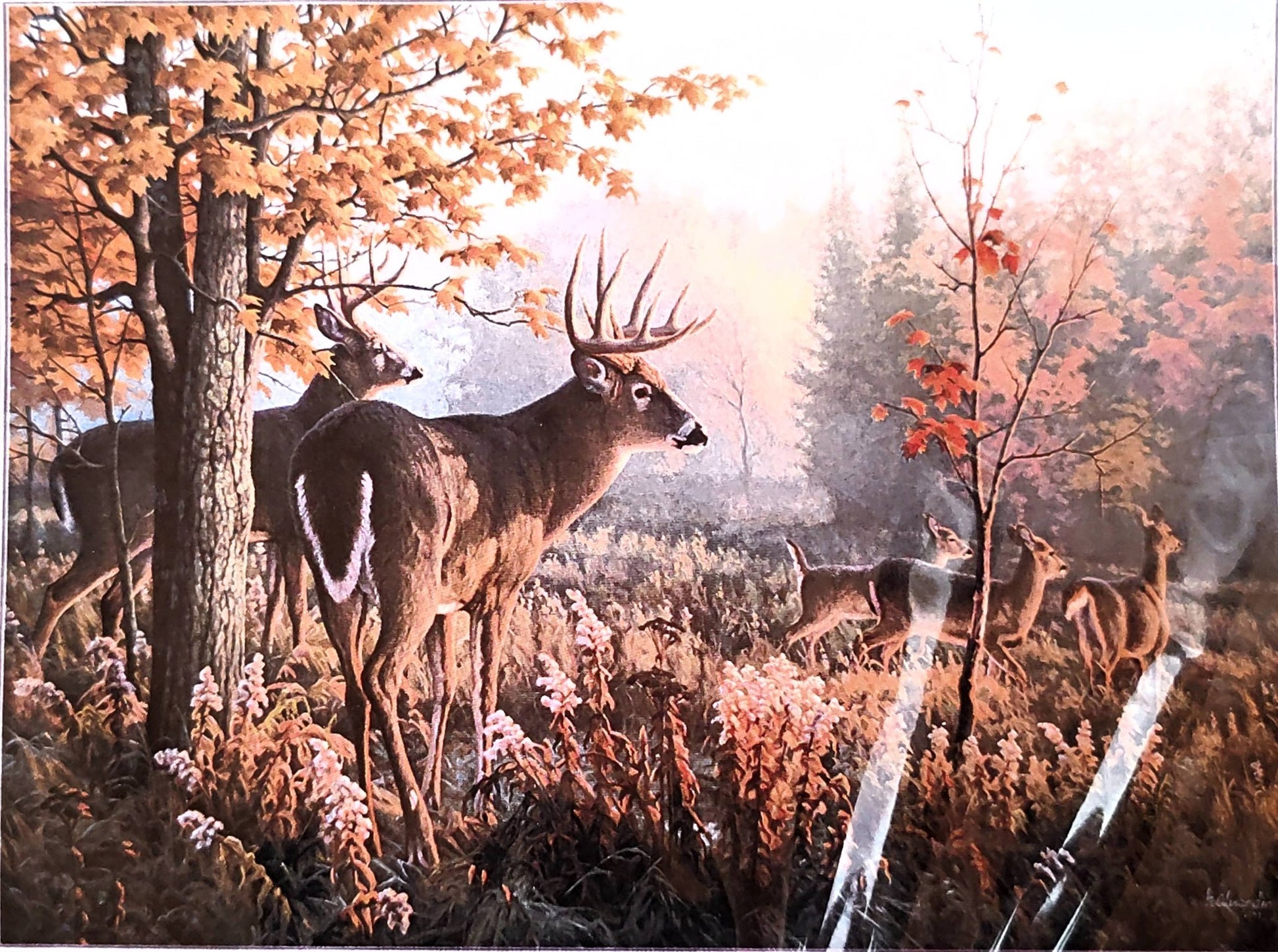 előnyomott keresztszemes 