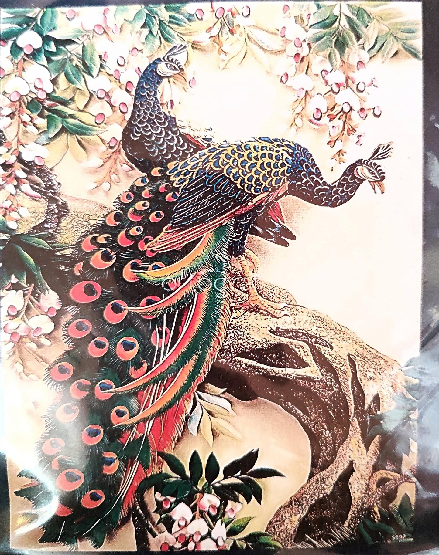 Páva Keresztszemes készlet leszámolható és előnyomott egyben